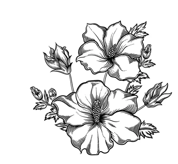Ilustração vetorial de flores.Flores detalhadas em estilo esboço preto e branco. Elegante decoração floral para design.Elementos de composição são separados em cada grupo. Isolado sobre fundo branco —  Vetores de Stock