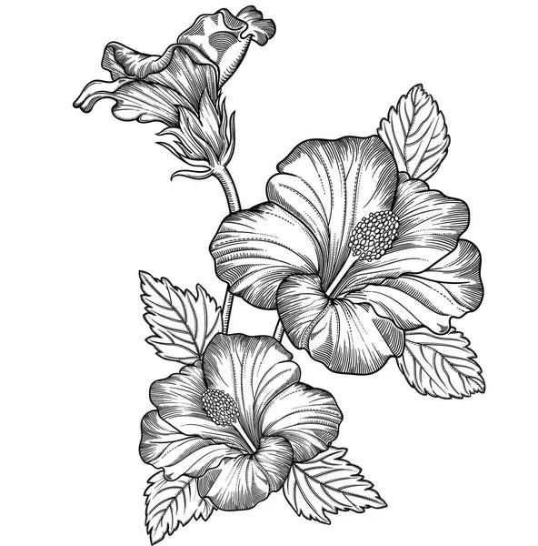 Векторна ілюстрація квітів. Деталізовані квіти в чорно-білому стилі ескізів. Елегантна квіткова прикраса для дизайну. Елементи композиції розділені в кожній групі. Ізольовані на білому тлі — стоковий вектор