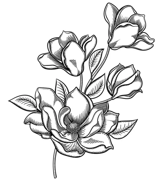 ภาพเวกเตอร์ของดอกไม้ ดอกไม้ในสไตล์ภาพสเก็ตช์สีดําและสีขาว ตกแต่งดอกไม้ที่สง่างามสําหรับการออกแบบองค์ประกอบขององค์ประกอบจะถูกแยกออกจากกันในแต่ละกลุ่ม ถูกแยกจากพื้นหลังสีขาว — ภาพเวกเตอร์สต็อก