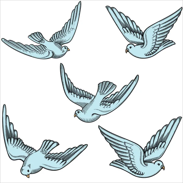 Ilustrace létající holubice v různých polohách. Ručně tažené tvarovanou Holub. Ručně kreslené létající holubice s izolované na bílém. Retro, vintage podrobný obraz v černé čáry tahy — Stockový vektor
