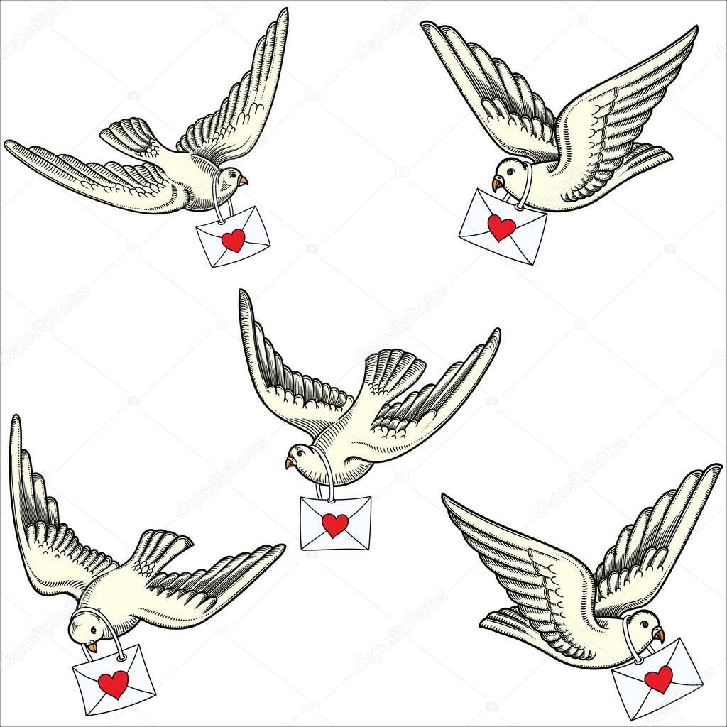 Illustration of flying doves in different positions.Hand drawn contoured pigeon. Hand drawn different position of flying doves with love letters.Retro,vintage detailed image done in black line strokes