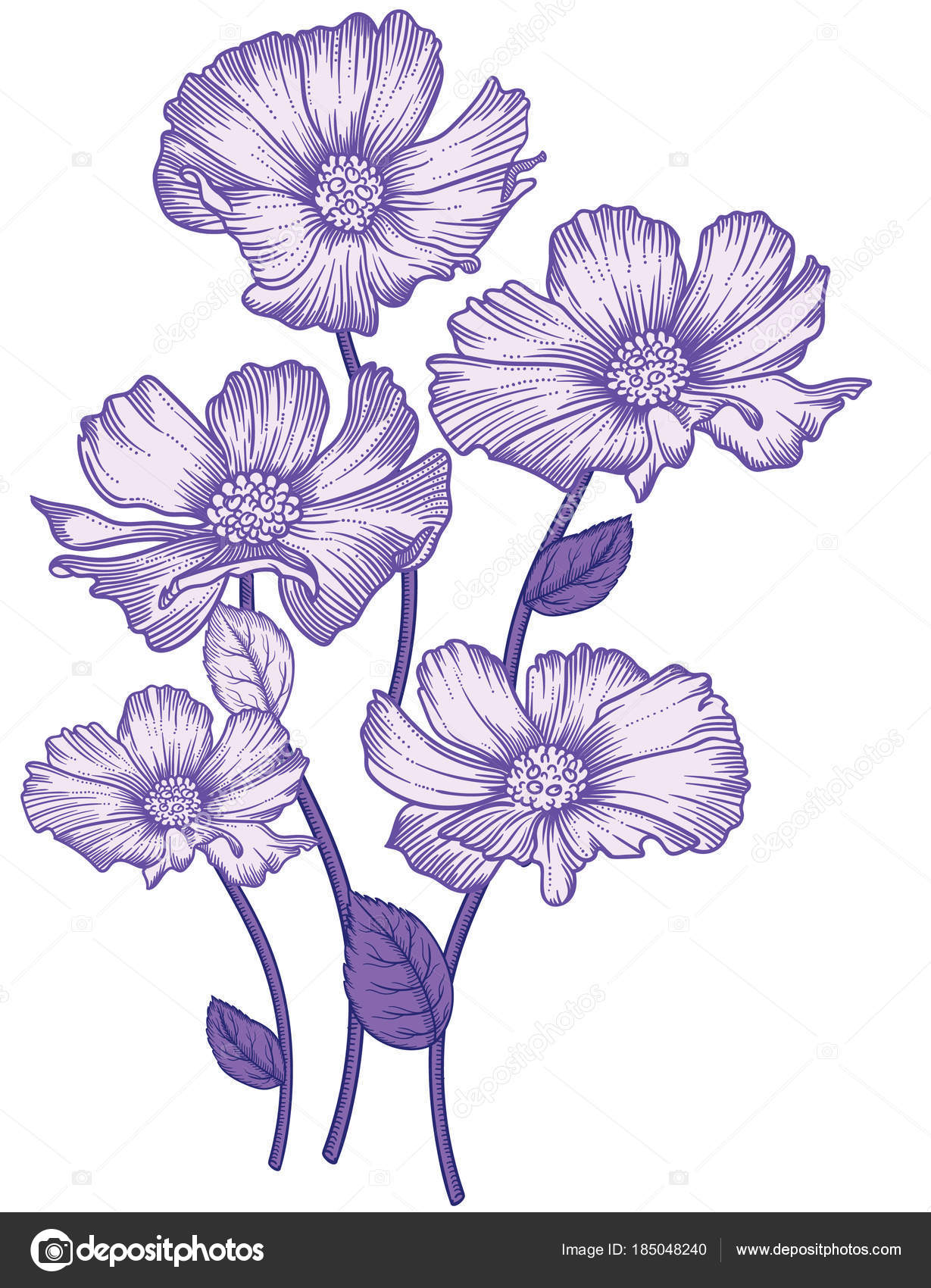 It is a picture of Unusual Flower Blooming Drawing It's just an image of Unusual Flower Blooming Drawing