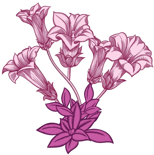 Flores florecientes del bosque, ilustración vectorial dibujada a mano detallada. Dibujo de flores decorativas románticas en línea arte. Todos los bosquejos objetos aislados sobre fondo blanco. Bosquejo vectorial de flores en flor — Vector de stock