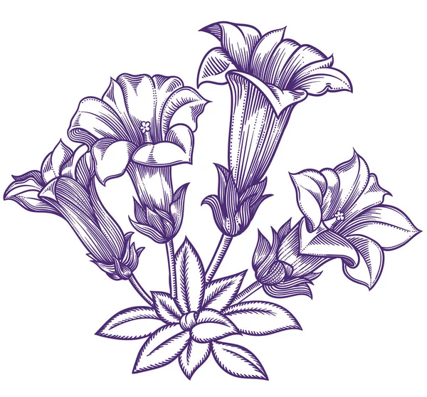 Virágzó erdei virágok, részletes kézzel rajzolt vektoros illusztráció. Romantikus Dekoratív virág vonalas rajz. Minden vázlatok objektumok elszigetelt fehér background. Vektor vázlat a virágzó virágok — Stock Vector