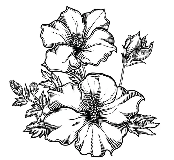 Exotische bloemen bloeien, gedetailleerde hand getekend vectorillustratie. Romantische decoratieve bloem tekening in lijntekeningen. Alle schetsen objecten geïsoleerd op een witte achtergrond. Vector schets van bloeiende bloemen — Stockvector