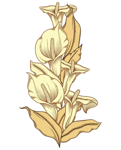 19 Stock Illustration