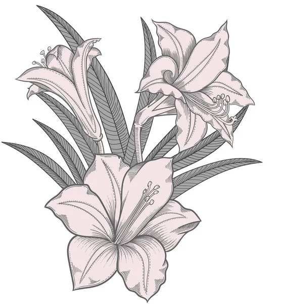 Blooming lily flowers , detailed hand drawn vector illustration. Romantic decorative flower drawing .Lilies in line art sketchy style.All authentic unique flourish objects isolated on white background Royalty Free Stock Vectors