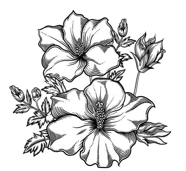 Flores exóticas florecientes, ilustración vectorial dibujada a mano detallada. Dibujo de flores decorativas románticas en línea arte. Todos los bosquejos objetos aislados sobre fondo blanco. Bosquejo vectorial de flores en flor — Vector de stock