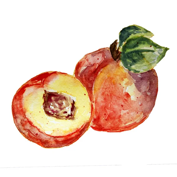 Beyaz bir arka plan üzerinde izole lezzetli suluboya şeftali