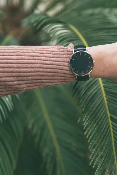 Ideal fashion outfit accessories. trendy fashion blogger wearing an elegant black and golden watch. close up fashion details. palm leaf in the background. — Stock Photo, Image