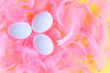 Üç beyaz Paskalya yumurta sarı bir arka plan üzerinde pembe tüyleri arasında.