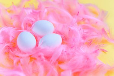 Üç beyaz Paskalya yumurta sarı bir arka plan üzerinde pembe tüyleri arasında.