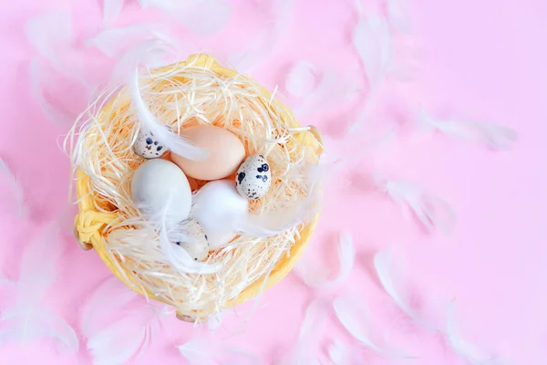Different colors easter eggs, quail eggs and white feathers on pastel pink background, top view, flat lay. Easter holiday concept.