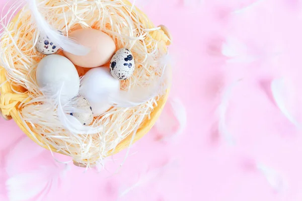 Different colors easter eggs, quail eggs and white feathers on pastel pink background, top view, flat lay. Easter holiday concept. Close up.