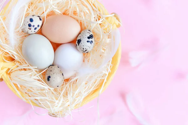 Different colors easter eggs, quail eggs and white feathers on pastel pink background, top view, flat lay. Easter holiday concept. Close up.