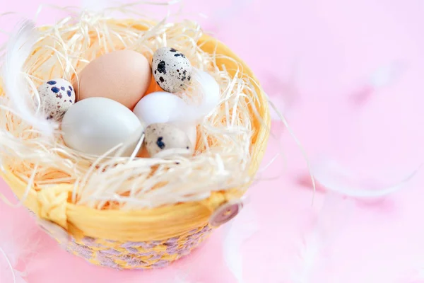 Different colors easter eggs, quail eggs and white feathers on pastel pink background, top view. Easter holiday concept. Close up.