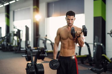 Çekici fitness adamı spor salonundaki bisepsler sırasında dambıllarla çalışıyor. Sportif ve sağlıklı bir kavram.