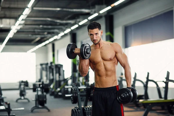 Homem saudável fazendo exercícios de bíceps com halteres no treinamento em ginásio moderno . — Fotografia de Stock