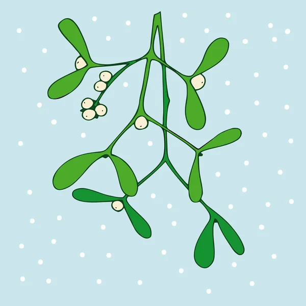 Hand drawn vector illustration of mistletoe sprigs for Christmas cards and decorative design
