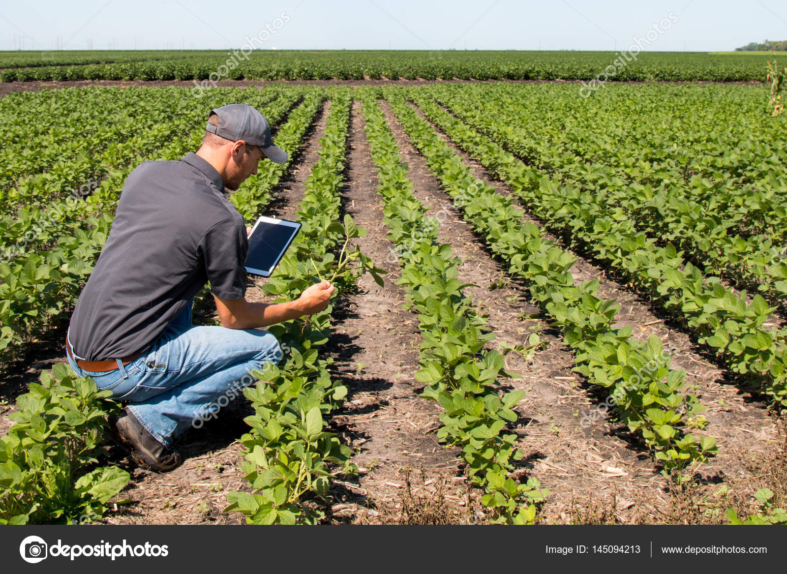 начинающий агроном. старший агроном. агроном с ноутбуком. агрономия профессия. агроном человек.