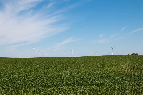 Windkraftanlage mit blauem Himmel — Stockfoto