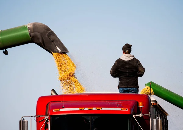 Veduta aerea di Raccolta di un campo agricolo — Foto Stock