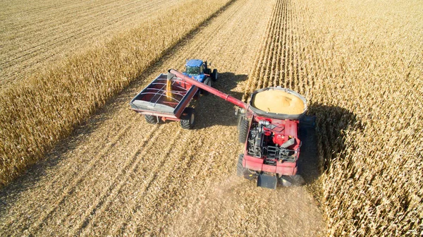 Aerial Photo of Harvesting Corn with Combine — Stock Photo, Image