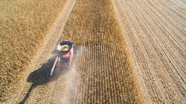 Birleştirin mısır hasat hava fotoğraf — Stok fotoğraf