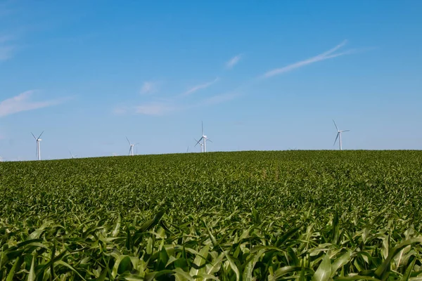 Windkraftanlage mit blauem Himmel — Stockfoto