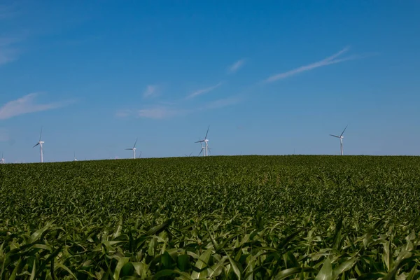 Windkraftanlage mit blauem Himmel — Stockfoto