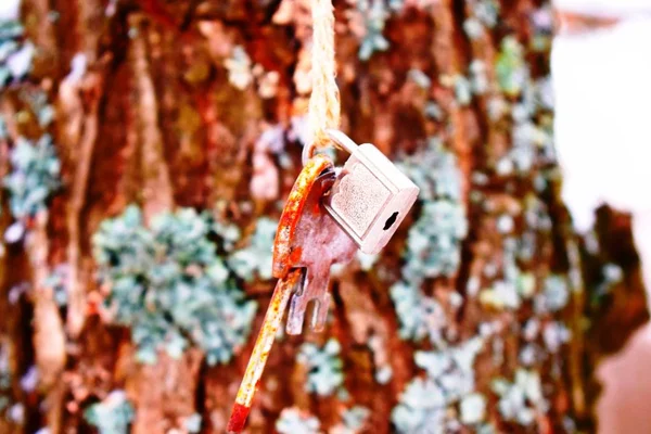 kilit üzerinde ahşap arka plan asılı