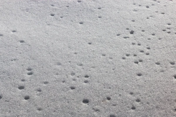 Kar dokulu arka plan için su damlaları ve