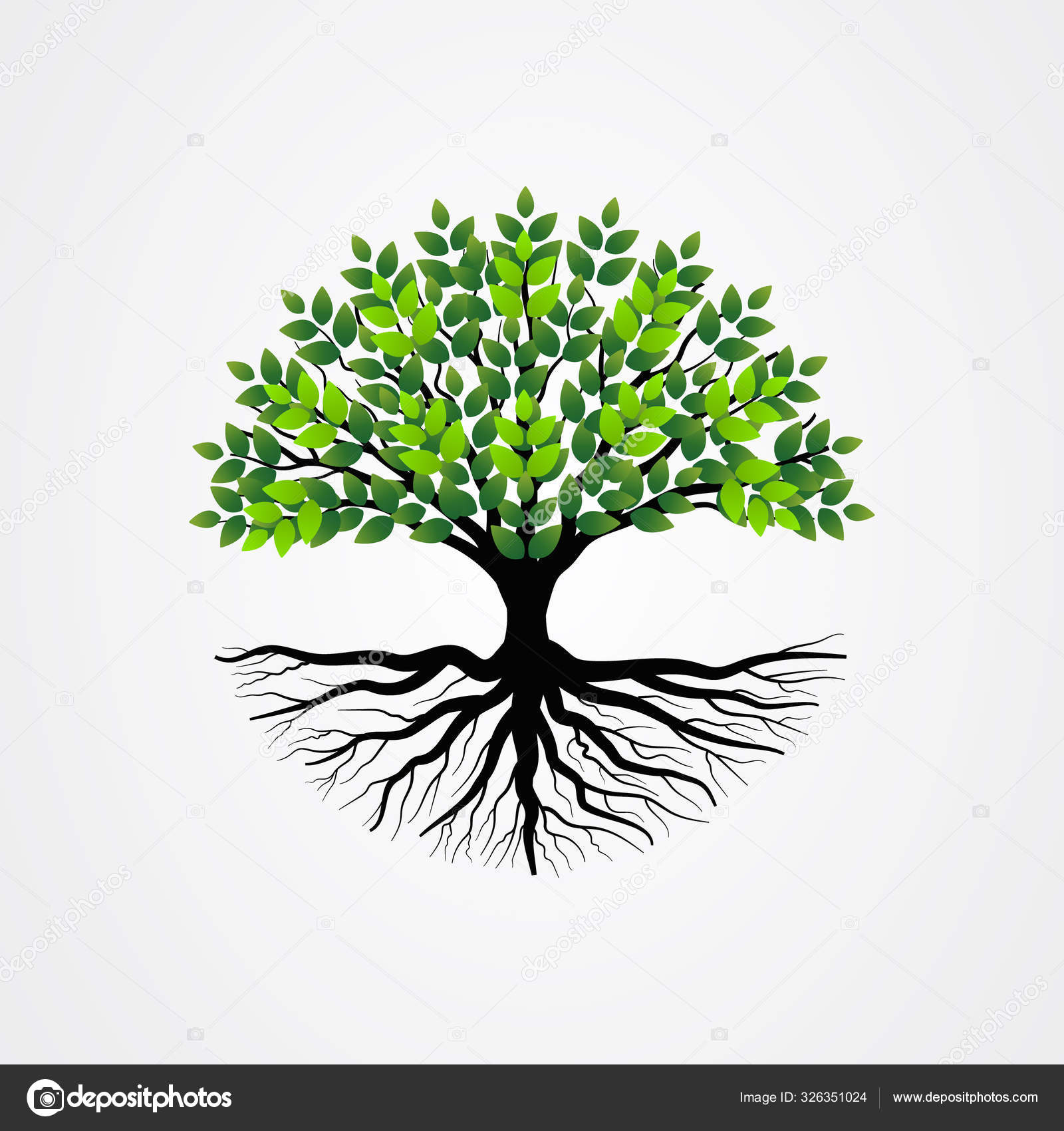Abstract Tree With Roots And Green Leaves Tree With Round Shape Vector Illustration Stock Vector Image By C 1arts