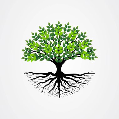 Kökleri ve yeşil yaprakları olan soyut bir ağaç. Yuvarlak şekil vektör illüstrasyonlu ağaç.