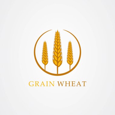 Beyaz arkaplanda izole edilmiş buğday vektörü çizimi