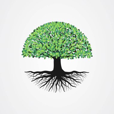 Kökleri ve yeşil yaprakları olan soyut bir ağaç. Yuvarlak şekil vektör illüstrasyonlu ağaç.