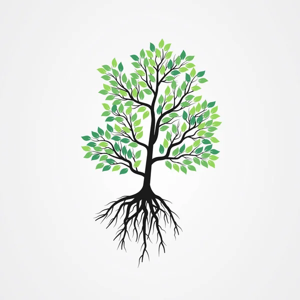 Tree vector illustration with roots and green leaves. — 스톡 벡터