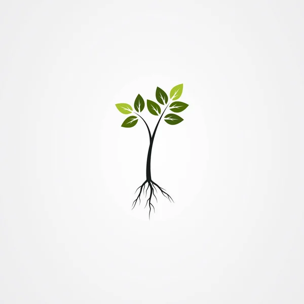 Albero con le radici, verde albero primaverile vettoriale illustrazione . — Vettoriale Stock