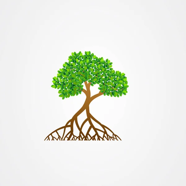 Мангровое дерево с корнями и векторной иллюстрацией зеленых листьев . — стоковый вектор