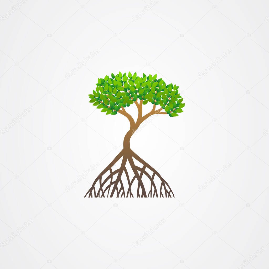 Mangrove tree with roots and green leaves vector illustration.