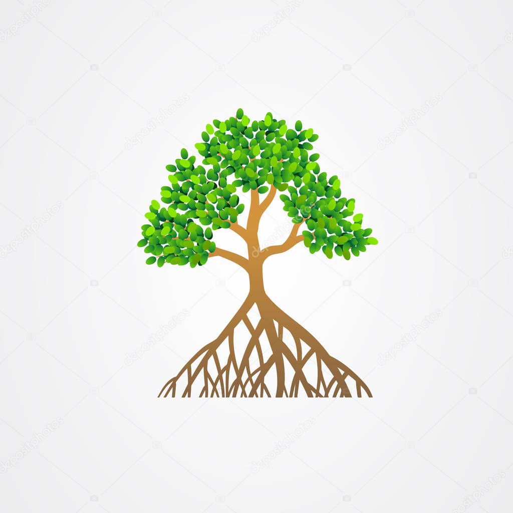 Mangrove tree with roots and green leaves vector illustration.