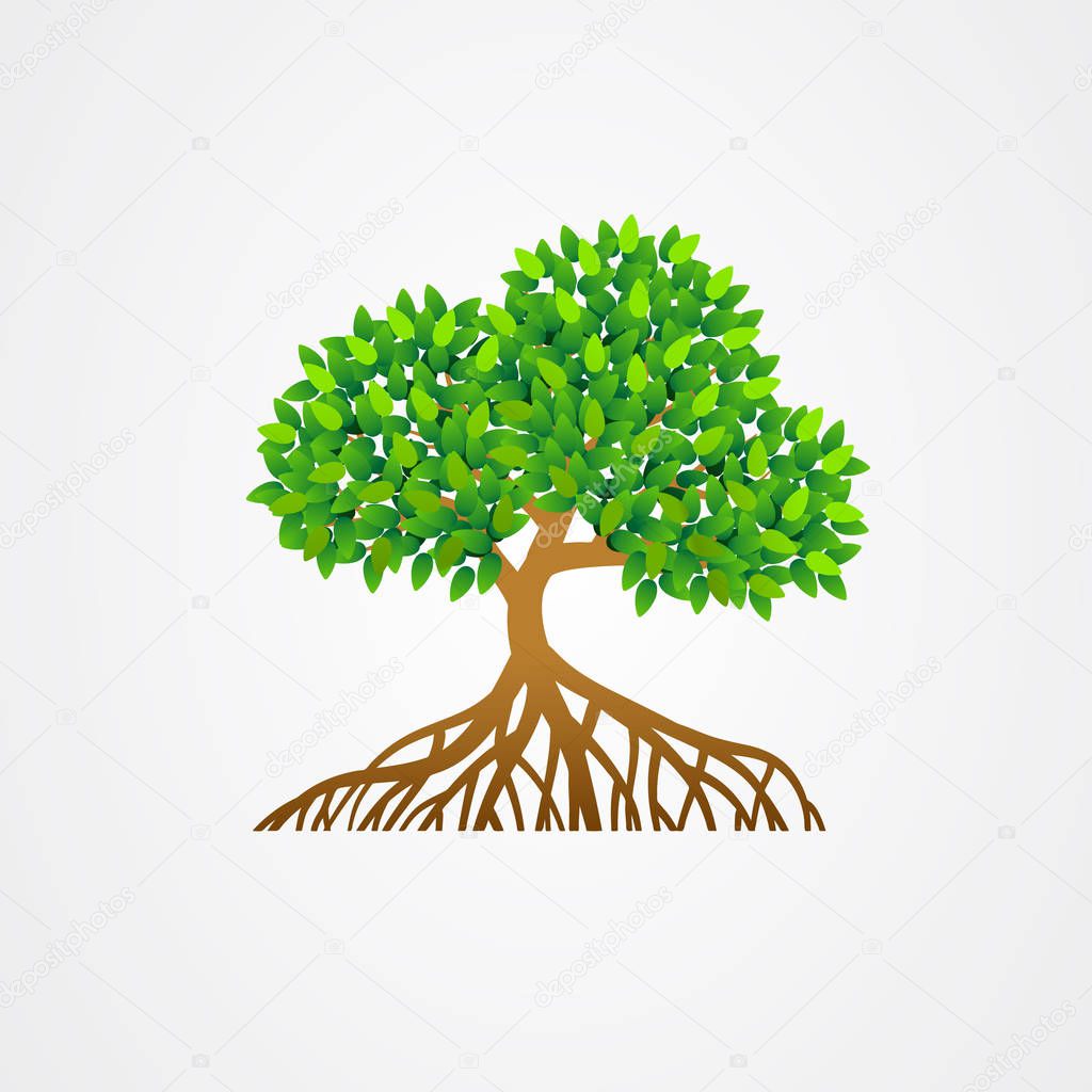 Mangrove tree with roots and green leaves vector illustration.