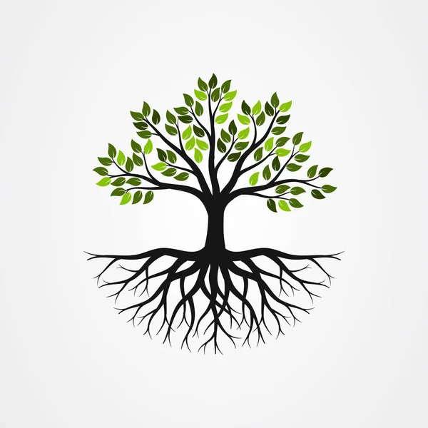 Árvore com as raízes ilustração vetorial — Vetor de Stock