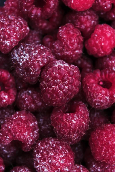 Raspberry macro close-up — Stock Photo, Image