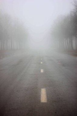 Sisin içindeki yol.