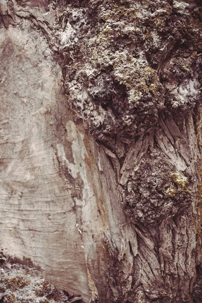 ahşap doku arkaplanı