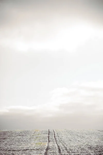 kış orman, nehir, kar, soğuk, yeni yıl