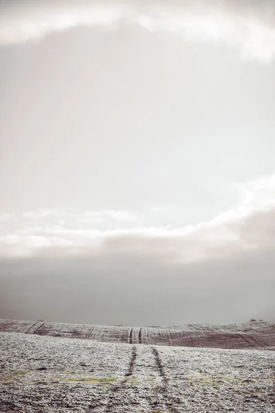 Winterwald, Fluss, Schnee, Kälte, Neujahr — Stockfoto