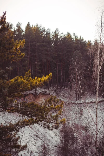 Téli erdő, folyó, hó, hideg, újév — Stock Fotó