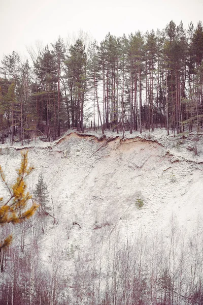 Zimní les, řeka, sníh, zima, nový rok — Stock fotografie